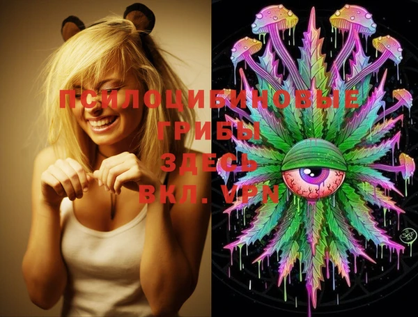 mix Рославль