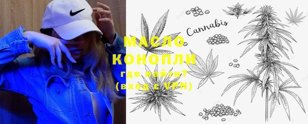 сатива Россошь