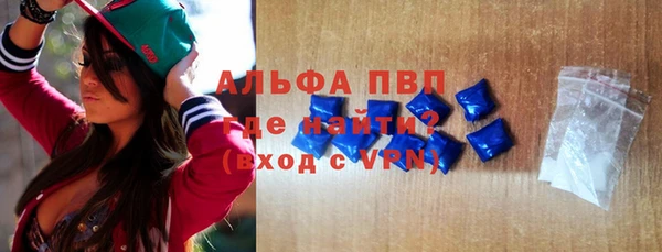 сатива Россошь